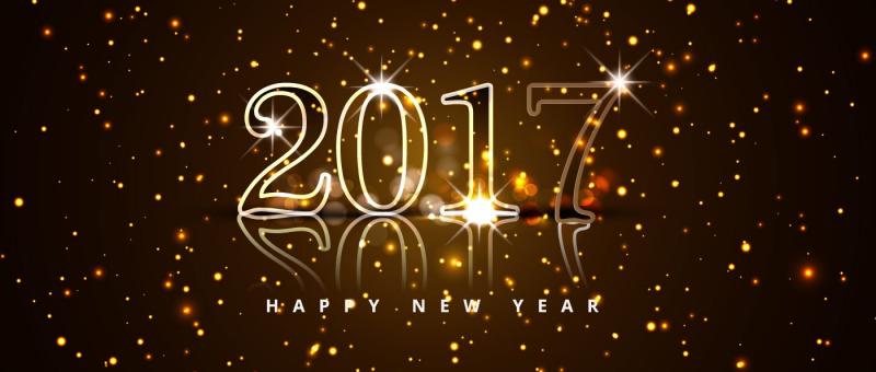 Bonne année 2017