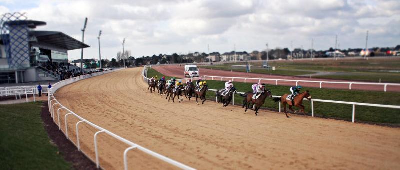 courses hippiques hippodrome pornichet la baule