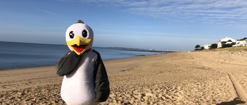 mascotte lou plage bonne source pornichet