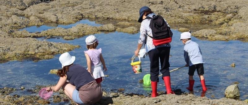 peche a pied pornichet labaule