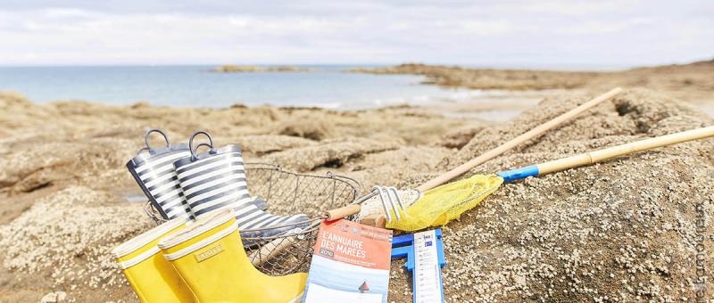 vacances de la toussaint camping bel air pornichet