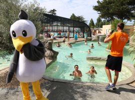 Camping Bel Air Pornichet 2017 Animation enfant