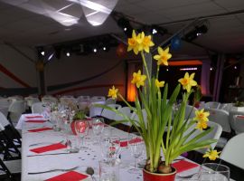 Camping Bel Air Pornichet 2018 Accueil de groupe