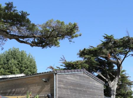 camping bel air pornichet 22