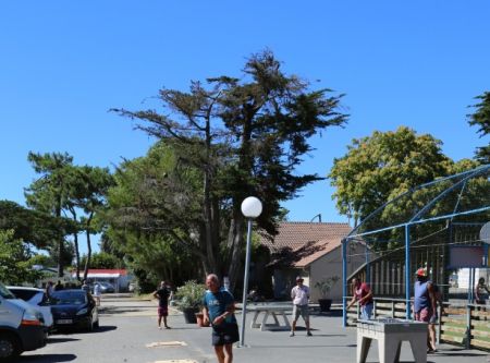 palet camping bel air pornichet 3